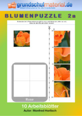 Blumenpuzzle_2a.pdf